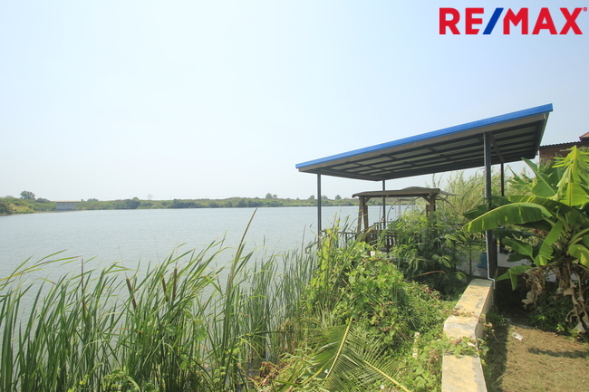 บ้านเดี่ยวพระราม2 บ้านติดน้ำติดทะเลสาบ สารินซิตี้บ้านนภาเหิร 305.3วา หลังบ้านติดน้ำยาว 42เมตร บรรยากาศเป็นส่วนตัวมาก รูปที่ดินถุงเงินถุงทอง พร้อมเรือนรับรอง 2ชั้น บ้านกว้าง สนามหญ้ารอบบ้านขนาดใหญ่ ราคานี้ไม่มีอีกแล้ว