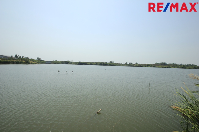 บ้านเดี่ยวพระราม2 บ้านติดน้ำติดทะเลสาบ สารินซิตี้บ้านนภาเหิร 305.3วา หลังบ้านติดน้ำยาว 42เมตร บรรยากาศเป็นส่วนตัวมาก รูปที่ดินถุงเงินถุงทอง พร้อมเรือนรับรอง 2ชั้น บ้านกว้าง สนามหญ้ารอบบ้านขนาดใหญ่ ราคานี้ไม่มีอีกแล้ว