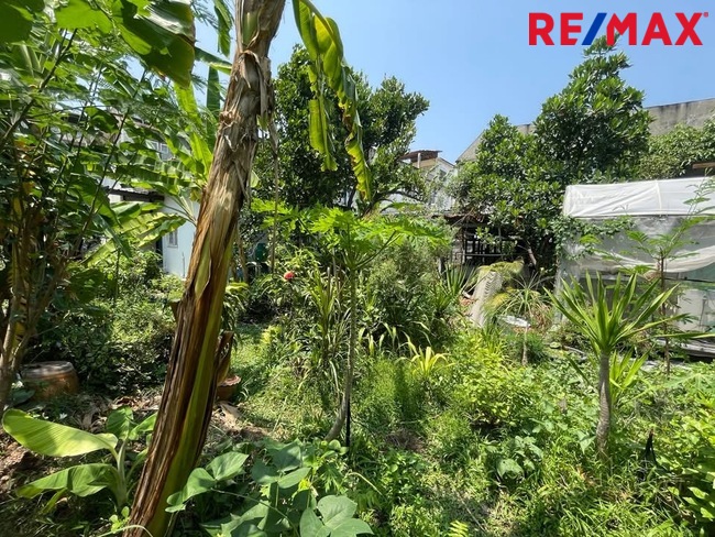 ขายบ้านพร้อมที่ดิน 200ตารางวา ใกล้พระราม2 อาคาร2ชั้นพร้อมดาดฟ้า500ตารางเมตรซอยพุทธบูชา11