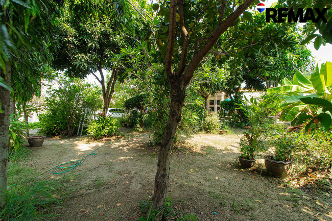 ขายบ้านพร้อมที่ดิน 200 ตร.ว. ถนนอุทยาน-พุทธมณฑล บ้านเดี่ยวหลังใหญ่ 4 นอน ใกล้ ม.มหิดล-ศาลายา