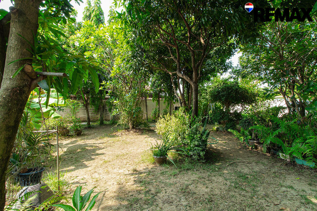 ขายบ้านพร้อมที่ดิน 200 ตร.ว. ถนนอุทยาน-พุทธมณฑล บ้านเดี่ยวหลังใหญ่ 4 นอน ใกล้ ม.มหิดล-ศาลายา