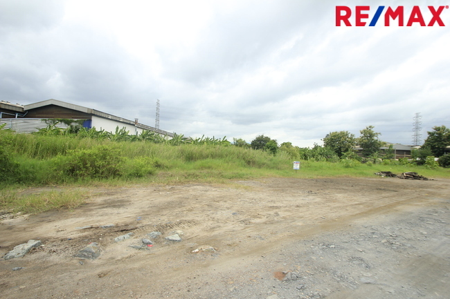 ขายบ้านเดี่ยว ลัดดารมย์ อิลิแกนซ์ ราชพฤกษ์–รัตนาธิเบศร์ 184 ตร.วา 485 ตร.ม. หลังมุมหรู พร้อมสระว่ายน้ำส่วนตัว ใกล้โรงเรียน DBS และเรือนรับรองขนาดใหญ่