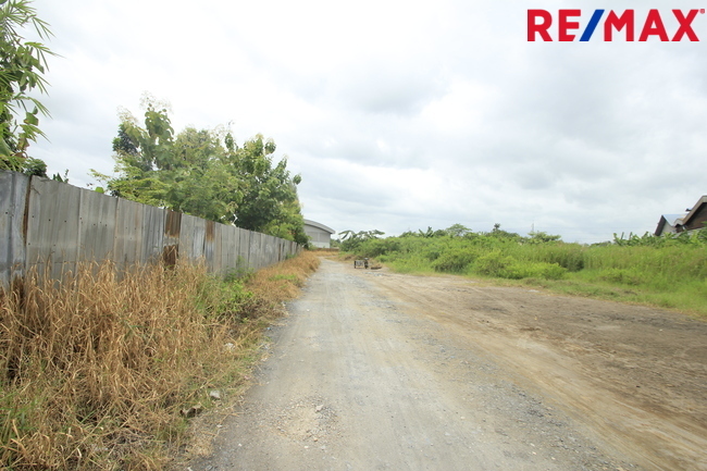 ขายบ้านเดี่ยว ลัดดารมย์ อิลิแกนซ์ ราชพฤกษ์–รัตนาธิเบศร์ 184 ตร.วา 485 ตร.ม. หลังมุมหรู พร้อมสระว่ายน้ำส่วนตัว ใกล้โรงเรียน DBS และเรือนรับรองขนาดใหญ่