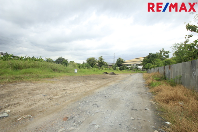 ขายบ้านเดี่ยว ลัดดารมย์ อิลิแกนซ์ ราชพฤกษ์–รัตนาธิเบศร์ 184 ตร.วา 485 ตร.ม. หลังมุมหรู พร้อมสระว่ายน้ำส่วนตัว ใกล้โรงเรียน DBS และเรือนรับรองขนาดใหญ่