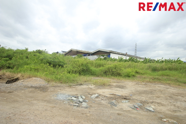 ขายบ้านเดี่ยว ลัดดารมย์ อิลิแกนซ์ ราชพฤกษ์–รัตนาธิเบศร์ 184 ตร.วา 485 ตร.ม. หลังมุมหรู พร้อมสระว่ายน้ำส่วนตัว ใกล้โรงเรียน DBS และเรือนรับรองขนาดใหญ่