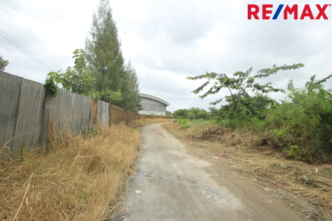 ขายบ้านเดี่ยว ลัดดารมย์ อิลิแกนซ์ ราชพฤกษ์–รัตนาธิเบศร์ 184 ตร.วา 485 ตร.ม. หลังมุมหรู พร้อมสระว่ายน้ำส่วนตัว ใกล้โรงเรียน DBS และเรือนรับรองขนาดใหญ่