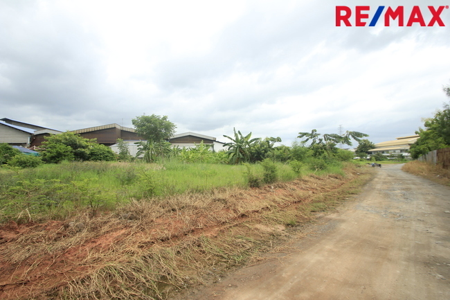 ขายบ้านเดี่ยว ลัดดารมย์ อิลิแกนซ์ ราชพฤกษ์–รัตนาธิเบศร์ 184 ตร.วา 485 ตร.ม. หลังมุมหรู พร้อมสระว่ายน้ำส่วนตัว ใกล้โรงเรียน DBS และเรือนรับรองขนาดใหญ่