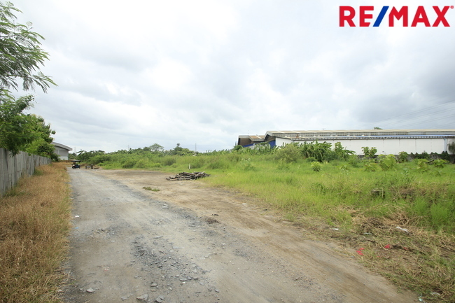 ขายบ้านเดี่ยว ลัดดารมย์ อิลิแกนซ์ ราชพฤกษ์–รัตนาธิเบศร์ 184 ตร.วา 485 ตร.ม. หลังมุมหรู พร้อมสระว่ายน้ำส่วนตัว ใกล้โรงเรียน DBS และเรือนรับรองขนาดใหญ่