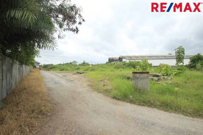 ขายบ้านเดี่ยว ลัดดารมย์ อิลิแกนซ์ ราชพฤกษ์–รัตนาธิเบศร์ 184 ตร.วา 485 ตร.ม. หลังมุมหรู พร้อมสระว่ายน้ำส่วนตัว ใกล้โรงเรียน DBS และเรือนรับรองขนาดใหญ่