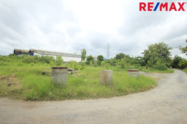 ขายบ้านเดี่ยว ลัดดารมย์ อิลิแกนซ์ ราชพฤกษ์–รัตนาธิเบศร์ 184 ตร.วา 485 ตร.ม. หลังมุมหรู พร้อมสระว่ายน้ำส่วนตัว ใกล้โรงเรียน DBS และเรือนรับรองขนาดใหญ่