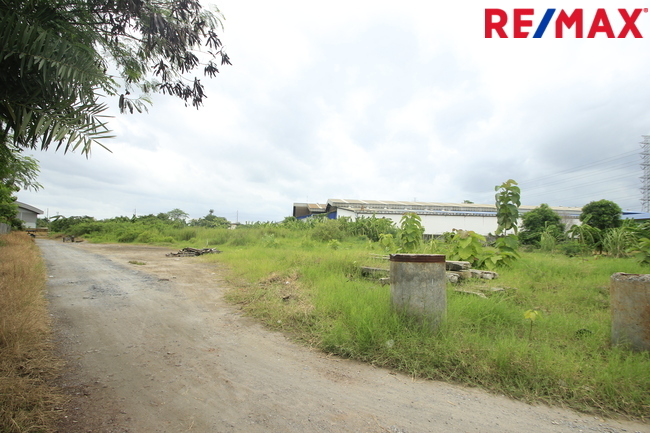 ขายบ้านเดี่ยว ลัดดารมย์ อิลิแกนซ์ ราชพฤกษ์–รัตนาธิเบศร์ 184 ตร.วา 485 ตร.ม. หลังมุมหรู พร้อมสระว่ายน้ำส่วนตัว ใกล้โรงเรียน DBS และเรือนรับรองขนาดใหญ่