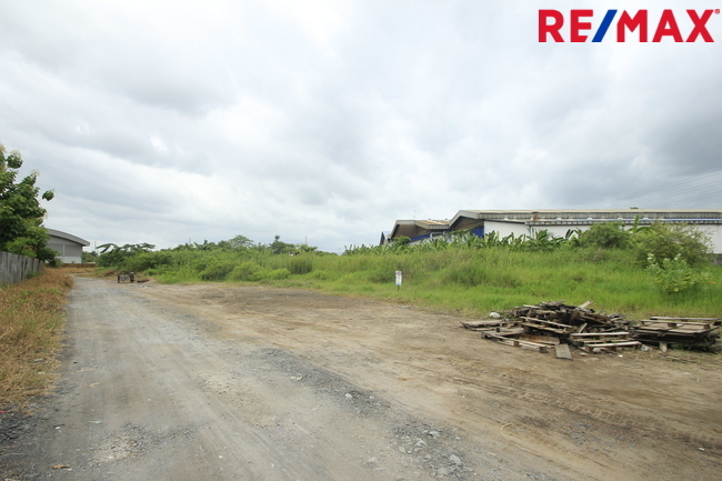 ขายบ้านเดี่ยว ลัดดารมย์ อิลิแกนซ์ ราชพฤกษ์–รัตนาธิเบศร์ 184 ตร.วา 485 ตร.ม. หลังมุมหรู พร้อมสระว่ายน้ำส่วนตัว ใกล้โรงเรียน DBS และเรือนรับรองขนาดใหญ่