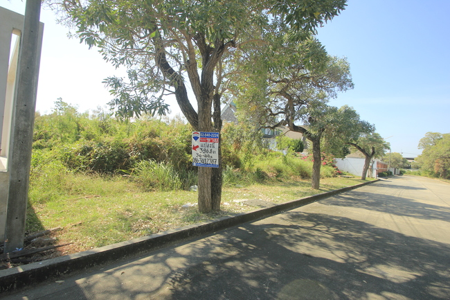 ที่ดินวริยาวิลล์บรมราชชนนี ปิ่นเกล้า นครชัยศรี ที่ดินสร้างบ้าน 396.8 ตารางวา ต้นโครงการถนนเมนกว้าง ใกล้มหิดลศาลายา เซ็นทรัลศาลายา ใกล้ถนนใหญ่เดินได้ไม่เปลี่ยว