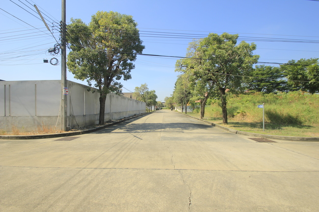 ที่ดินวริยาวิลล์บรมราชชนนี ปิ่นเกล้า นครชัยศรี ที่ดินสร้างบ้าน 396.8 ตารางวา ต้นโครงการถนนเมนกว้าง ใกล้มหิดลศาลายา เซ็นทรัลศาลายา ใกล้ถนนใหญ่เดินได้ไม่เปลี่ยว