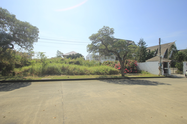 ที่ดินวริยาวิลล์บรมราชชนนี ปิ่นเกล้า นครชัยศรี ที่ดินสร้างบ้าน 396.8 ตารางวา ต้นโครงการถนนเมนกว้าง ใกล้มหิดลศาลายา เซ็นทรัลศาลายา ใกล้ถนนใหญ่เดินได้ไม่เปลี่ยว