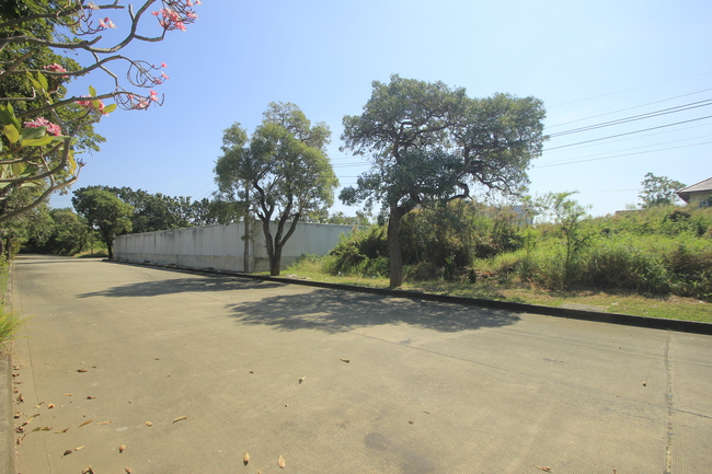 ที่ดินวริยาวิลล์บรมราชชนนี ปิ่นเกล้า นครชัยศรี ที่ดินสร้างบ้าน 396.8 ตารางวา ต้นโครงการถนนเมนกว้าง ใกล้มหิดลศาลายา เซ็นทรัลศาลายา ใกล้ถนนใหญ่เดินได้ไม่เปลี่ยว