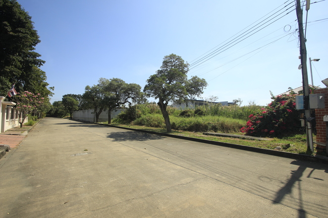 ที่ดินวริยาวิลล์บรมราชชนนี ปิ่นเกล้า นครชัยศรี ที่ดินสร้างบ้าน 396.8 ตารางวา ต้นโครงการถนนเมนกว้าง ใกล้มหิดลศาลายา เซ็นทรัลศาลายา ใกล้ถนนใหญ่เดินได้ไม่เปลี่ยว