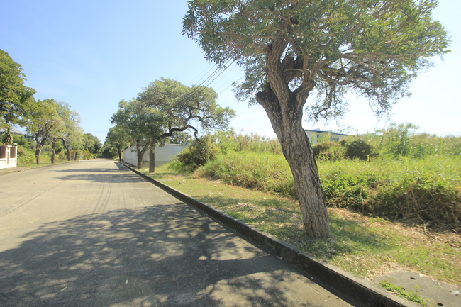 ที่ดินวริยาวิลล์บรมราชชนนี ปิ่นเกล้า นครชัยศรี ที่ดินสร้างบ้าน 396.8 ตารางวา ต้นโครงการถนนเมนกว้าง ใกล้มหิดลศาลายา เซ็นทรัลศาลายา ใกล้ถนนใหญ่เดินได้ไม่เปลี่ยว