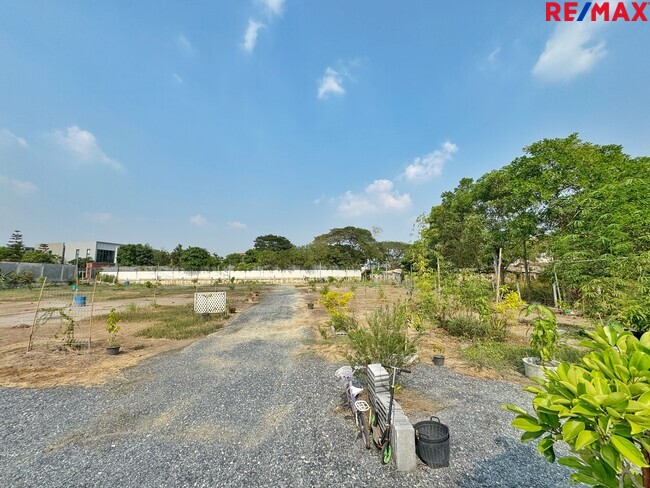 ขายที่ดิน 497 ตร.วา คลองพระอุดม ปากเกร็ด ใกล้ถนนชัยพฤกษ์ – สะพานพระราม 4 เหมาะแตกแปลง / ทำคอมพาวด์ / ลงทุนเก็งกำไร ราคา 35,000 บาท/ตร.วา