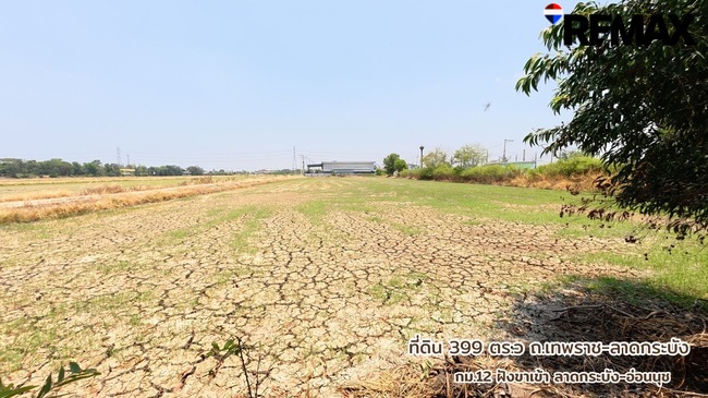 ขายด่วนที่ดิน 399 ตารางวา เทพราช-ลาดกระบัง ทล.3001 น้ำไฟเข้าถึงพร้อมใช้งาน ต.เปร็ง อ.บางบ่อ ใกล้แหล่งอุตสาหกรรมเอเซียสุวรรณภูมิ