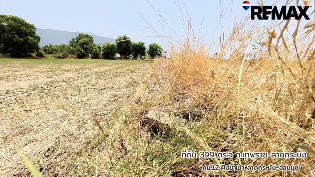 ขายด่วนที่ดิน 399 ตารางวา เทพราช-ลาดกระบัง ทล.3001 น้ำไฟเข้าถึงพร้อมใช้งาน ต.เปร็ง อ.บางบ่อ ใกล้แหล่งอุตสาหกรรมเอเซียสุวรรณภูมิ