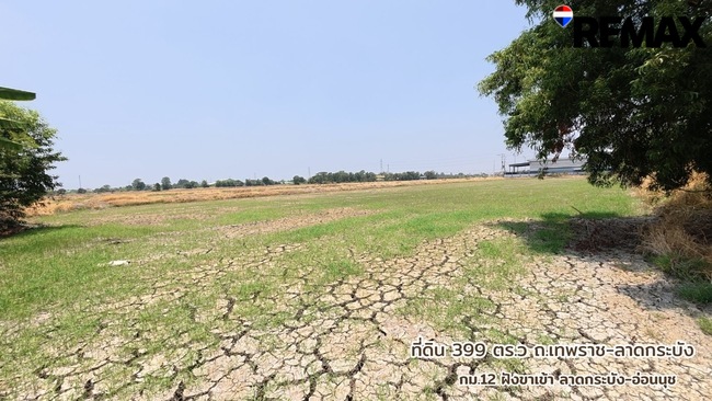 ขายที่ดินถูกที่สุดในบางบ่อ ที่ดิน 399 ตารางวาติดถนนเทพราช-ลาดกระบัง ยกแปลงเพียง 3.99 ล้านเท่านั้น