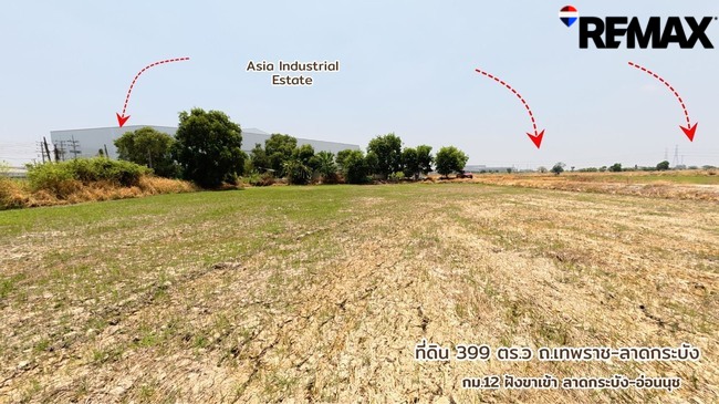 ขายที่ดินถูกที่สุดในบางบ่อ ที่ดิน 399 ตารางวาติดถนนเทพราช-ลาดกระบัง ยกแปลงเพียง 3.99 ล้านเท่านั้น