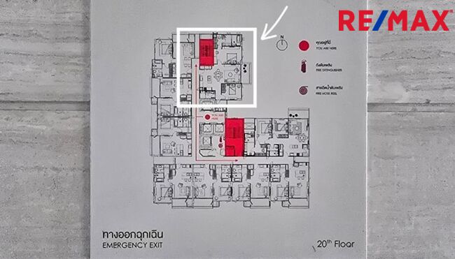 AEQUA RESIDENCE Sukhumvit 49 (2 ห้องนอนขนาดใหญ่ 95.99 ตร.ม.) #ห้องมุม #คอนโด #PetFriendly ราคาดีที่สุดในโครงการ แสงธรรมชาติเข้าในทุกห้อง เพราะเป็นห้องมุม (ขายพร้อมผู้เช่า)