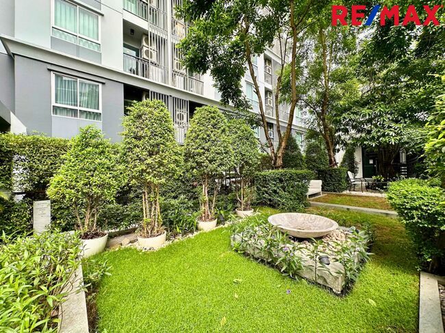 ขายคอนโด The Tree ลาดพร้าว 15 (The Tree Ladprao 15)