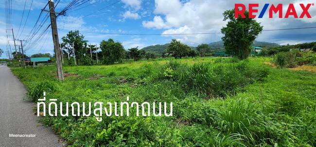 ขายที่ดินราคาดี บ้านเพแปลงใหญ่ 7 ไร่ หน้ากว้างฝั่งสุขุมวิท100เมตร แปลงมุมติดถนนสองฝั่ง ที่ดิน7ไร่แปลงมุม บ้านเพติดถนนสุขุมวิท และซอยต้นลำดวน2