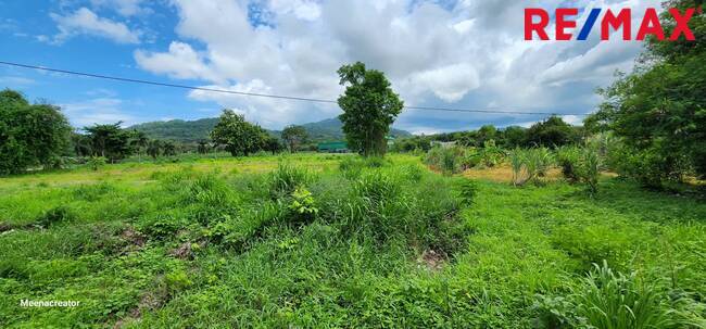 ขายที่ดินราคาดี บ้านเพแปลงใหญ่ 7 ไร่ หน้ากว้างฝั่งสุขุมวิท100เมตร แปลงมุมติดถนนสองฝั่ง ที่ดิน7ไร่แปลงมุม บ้านเพติดถนนสุขุมวิท และซอยต้นลำดวน2