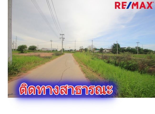 ขายที่ดินบางไทรพระนครศรีอยุธยา ถนนปทุมธานีสามโคกเสนา ที่ดินถมแล้ว6-3-11.5ไร่ ที่ดินสร้างบ้าน โกดังเก็บสินค้า ศูนย์กระจายสินค้า ขนส่ง น้ำไม่ท่วม ใกล้นิคมอุตสาหกรรมบ้านแพน ราคาพิเศษ
