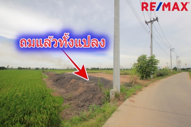 ขายที่ดินบางไทรพระนครศรีอยุธยา ถนนปทุมธานีสามโคกเสนา ที่ดินถมแล้ว6-3-11.5ไร่ ที่ดินสร้างบ้าน โกดังเก็บสินค้า ศูนย์กระจายสินค้า ขนส่ง น้ำไม่ท่วม ใกล้นิคมอุตสาหกรรมบ้านแพน ราคาพิเศษ